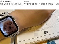 썸네일-만화에서 지령내려주는 박사님 같다ㅋㅋㅋㅋ-이미지