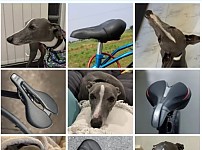 썸네일-매크로 자동가입방지 캡차 근황.jpg-이미지