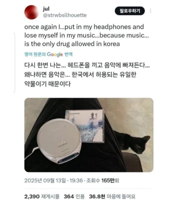 nokbeon.net-해외에서 유행하는 우리나라 고전 밈.jpg-2번 이미지