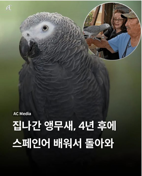 nokbeon.net-의외로 어학연수 가능함;.jpg-1번 이미지