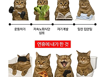 썸네일-추석연휴 계획과 현실.jpg-이미지