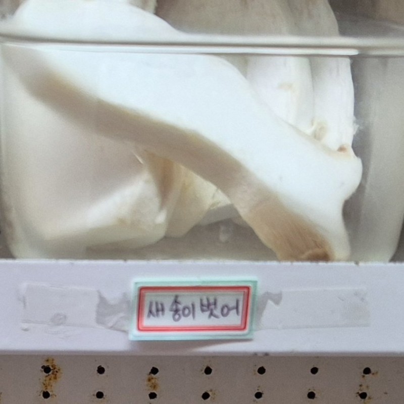 nokbeon.net-다소 불미스러운;;  마라탕 가게.jpg-3번 이미지