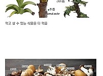 썸네일-외국인들이 놀란다는 먹는 것에 진심인 한국인 식성-이미지