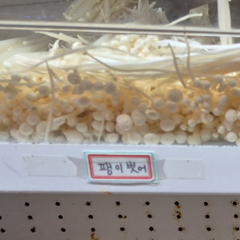 nokbeon.net-다소 불미스러운;;  마라탕 가게.jpg-2번 이미지