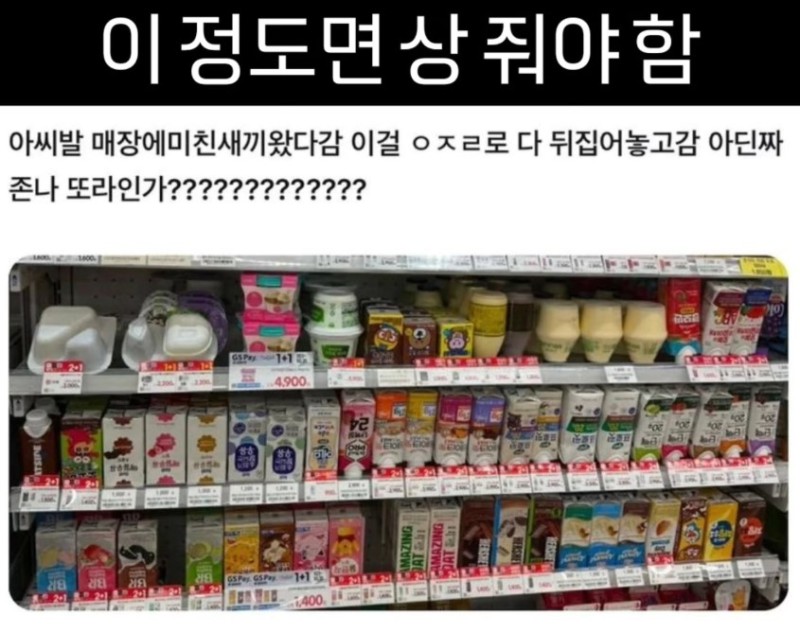 nokbeon.net-이정도면 상 줘야함 ㅋㅋㅋ-1번 이미지