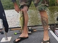 썸네일-기능성 문신.jpg-이미지