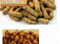 썸네일-미국식 땅콩 요리.jpg-이미지