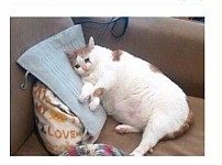 썸네일-전남친한테 전화오면 철벽치는 방법-이미지