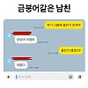 썸네일-금붕어 같은 남자친구.jpg-이미지
