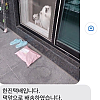 썸네일-한진택배입니다. 댁 앞으로 배송하였습니다.jpg-이미지