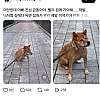 썸네일-산책 중 급똥 터진 견주.jpg-이미지