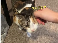 썸네일-어느 모텔의 대여 서비스-이미지