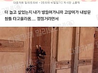 썸네일-템플스테이갔을때 내가 절고양이 너무 잘놀아줬더니-이미지