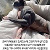 썸네일-여동생의 고양이가 무섭다는 오빠-이미지