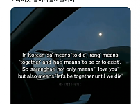 썸네일-외국에서 440만 조회수 찍은 한국어 짤-이미지