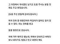 썸네일-유기된 줄 알았던 리트리버 줍줍한 후기-이미지