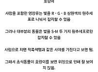 썸네일-호랑이 털이 주황색인 이유-이미지