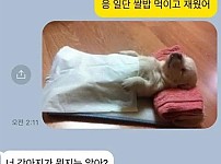 썸네일-강아지 주워온 동생-이미지