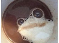 썸네일-커피에서 개구리 나옴 ㄷㄷㄷ-이미지