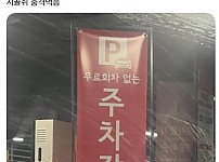 썸네일-서울 올라가면 정신 똑디 챙겨야 하는 이유.jpg-이미지