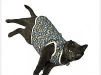 썸네일-조부모님이 검은고양이 재수없다고 버리신대..-이미지