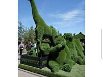 썸네일-연봉 1억 2천 정원사 논란-이미지