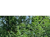 썸네일-어떤 맛집 테이블에 새겨져 있는 특이한 주의사항-이미지