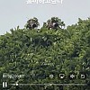 썸네일-요즘 아이돌 홈마근황ㄷㄷㄷ.jpg-이미지