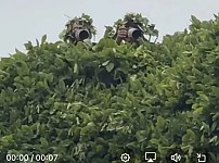 썸네일-요즘 아이돌 홈마근황ㄷㄷㄷ.jpg-이미지