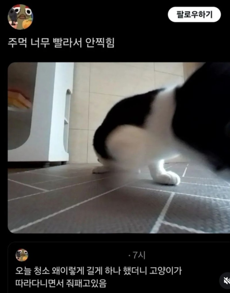 nokbeon.net-오늘 따라 로봇청소기의 청소 시간이 길어진 이유-2번 이미지