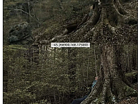 썸네일-반지의 제왕 촬영 장소가서 똑같이 사진 찍은 양덕-이미지