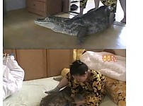 썸네일-전설의 부산 3대 드루이드-이미지