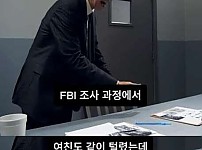썸네일-미국 초토화 시키려던 중국인-이미지
