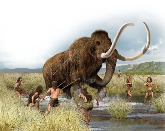 nokbeon.net-선사시대 인류의 집 재료.jpg-2번 이미지