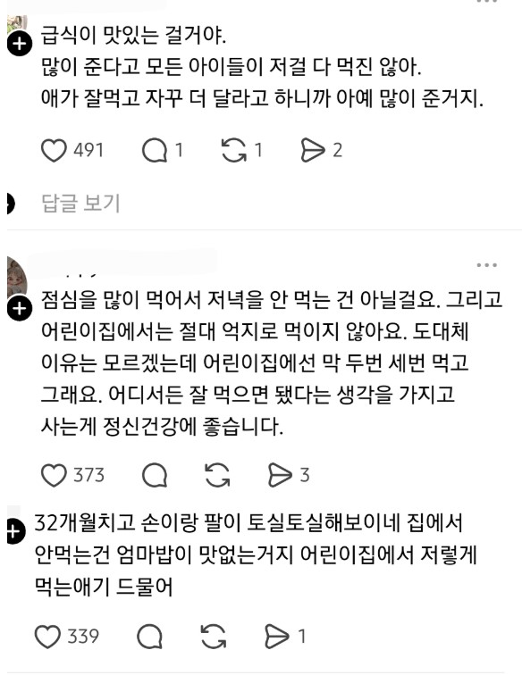 nokbeon.net-애가 어린이집에서 밥을 너무 많이 먹어서 집에서 밥을 안 먹어.jpg-4번 이미지