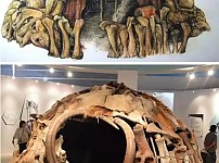 썸네일-선사시대 인류의 집 재료.jpg-이미지