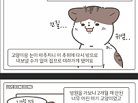 썸네일-가게 주방에서 구조된 고양이 사연-이미지