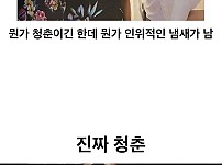 썸네일-남자들의 가짜 청춘과 진짜 청춘-이미지