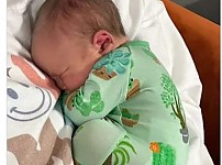 썸네일-뱃속에서 이렇게 있었을 거 같음.jpg-이미지