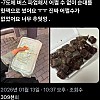 썸네일-너무 추워서 어쩔 수 없이 순대를 샀어요.jpg-이미지