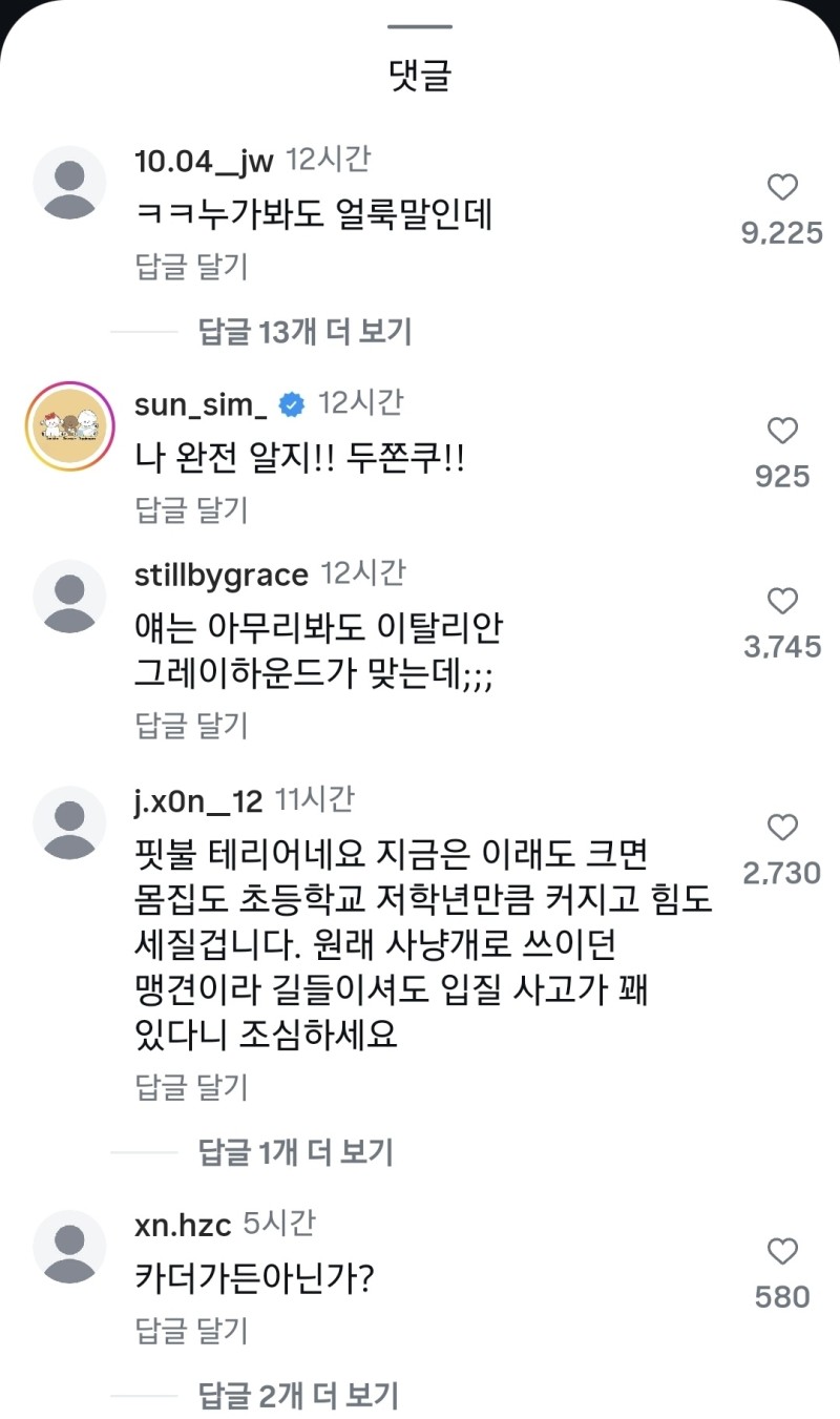 nokbeon.net-견종 아무도 못 맞추면 고구마 준다고 했더니 일어난 일-2번 이미지