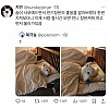 썸네일-전기장판을 알아버린 사모펀드.jpg-이미지