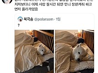 썸네일-전기장판을 알아버린 사모펀드.jpg-이미지