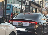 썸네일-부산 놀러 온 초보운전자.jpg-이미지