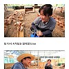 썸네일-토종닭 백숙집 차리려고 닭 키운 부부-이미지