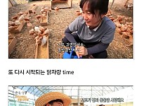 썸네일-토종닭 백숙집 차리려고 닭 키운 부부-이미지
