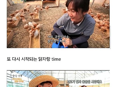 토종닭 백숙집 차리려고 닭 키운 부부-메인 썸네일 이미지