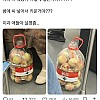 썸네일-복숭아 어떻게 넣은 거야?.jpg-이미지