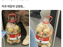 썸네일-복숭아 어떻게 넣은 거야?.jpg-이미지